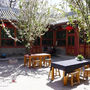 Beijing Fly By Knight Courtyard